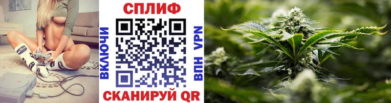 Марихуана тримм  Грайворон 